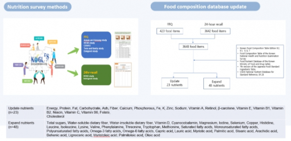 KoGES 영양조사 및 영양성분 DB 업데이트 방법