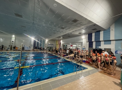 2023년에 개최된 나주시장배 수영대회