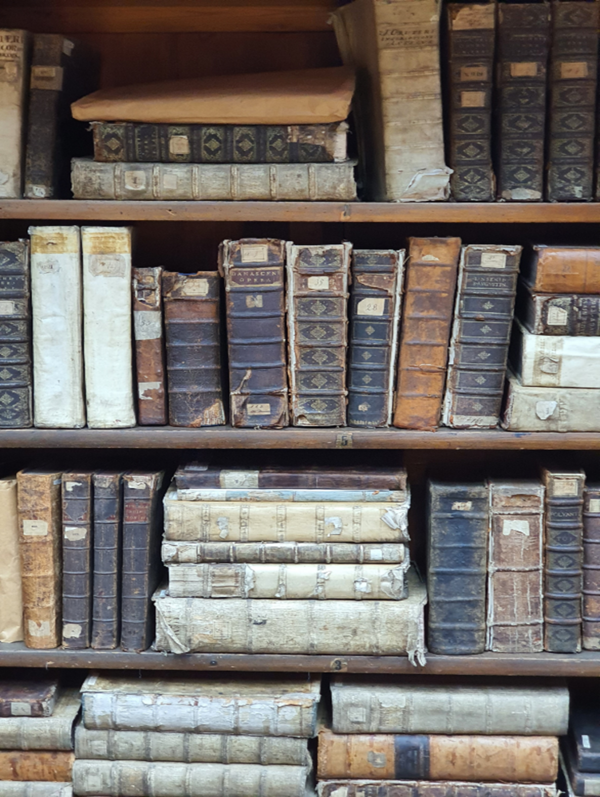 [카잔연방대 고문서기록보관소 장서: 1804년 이후의 문서]