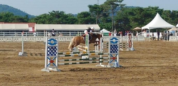 제2회 영천시장배 전국승마대회 성료!