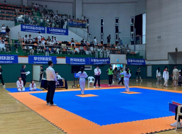 무안군 제13회 무안황토골배 태권도대회 성료