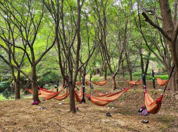 증평 좌구산숲명상의집, 산림치유의 명소로 도약