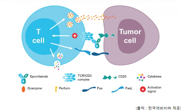식품의약품안전처