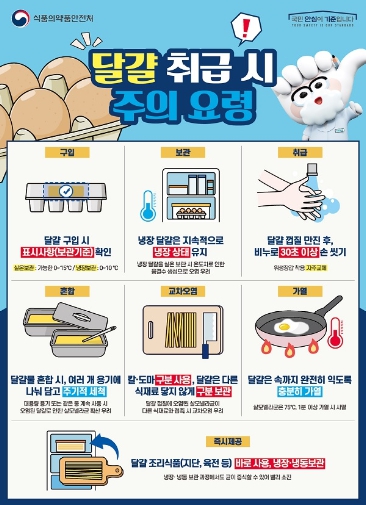 달걀 취급시 주의요령 포스터