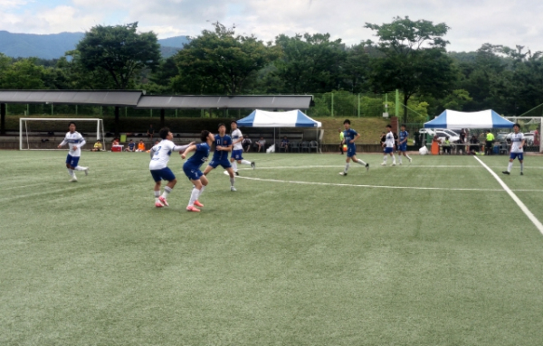 제31회 경주시장배 시민축구대회가 축구공원 5‧6구장에서 열리고 있다.