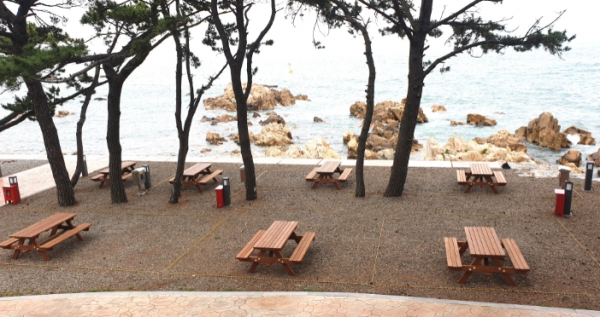 주전 보밑항 피크닉장