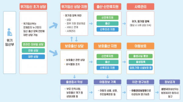 보호출산제도 기본체계(안)