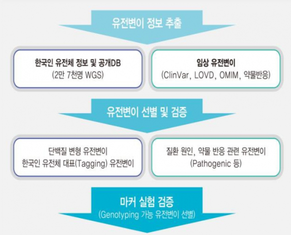 한국인칩 v2.0 개발 모식도