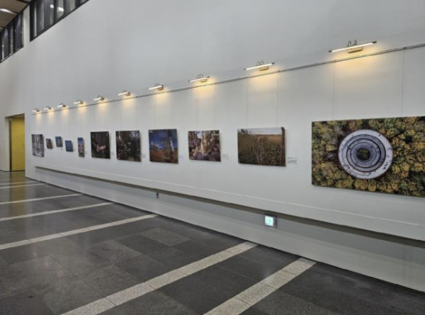 시흥시 배곧도서관, ‘내셔널 지오그래픽’과 협업 이벤트 진행