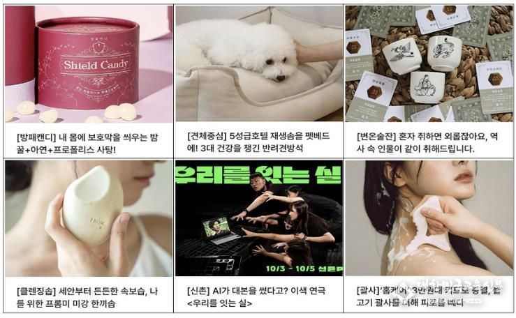 성남시 ‘25개팀 청년창업 지원’ 크라우드펀딩 시작(투자아이디어 상품들)